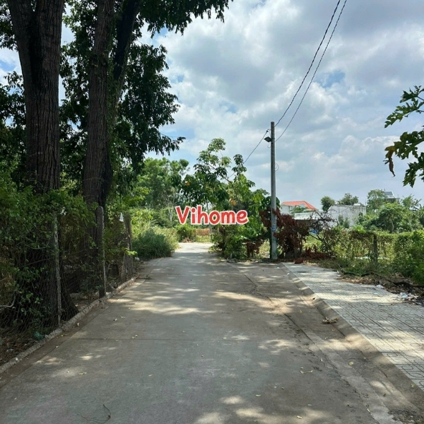 시장·학교·주민센터 200m 거리, 나란한 토지 2필지 매매