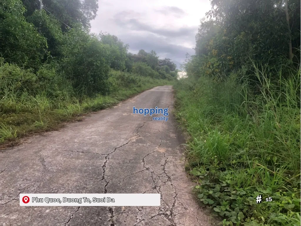 푸꾸옥 바다 근처의 아름다운 토지 – 레드북 보유, 2.5억동