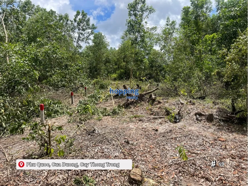 푸꾸옥 꾸아즈엉 카이통쫑 510m² 토지 매매 – 특가 & 미래가치 높음