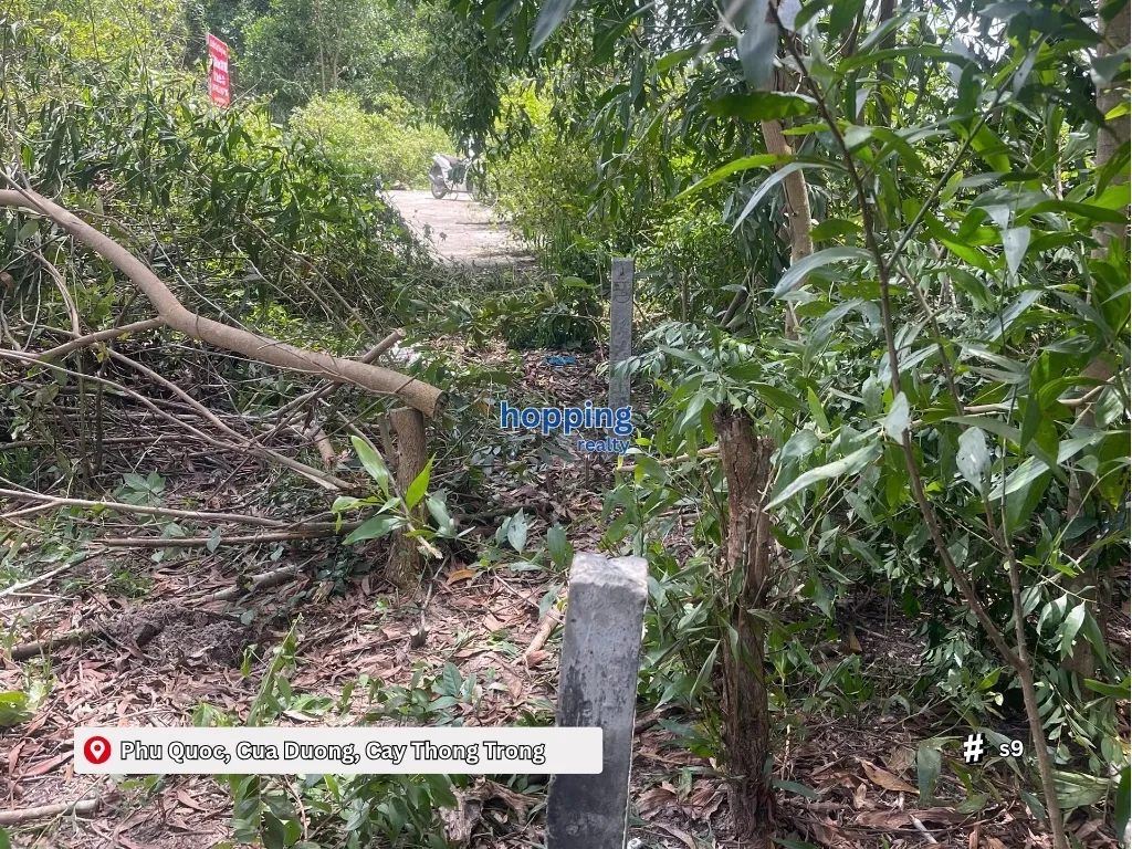 푸꾸옥 꾸아즈엉 카이통쫑 510m² 토지 매매 – 특가 & 미래가치 높음